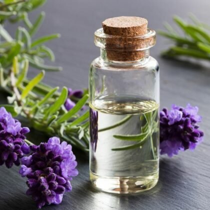 Best Quality Pure Lavender Essential Oil for Sale at Factory - Horus Oil Wholesalers in Denmark