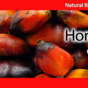 Natural Refined Palm Oil 100% Pure - Private label designed