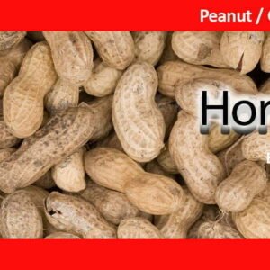Peanut Groundnut Oil - Quality Peanut oil for Sale