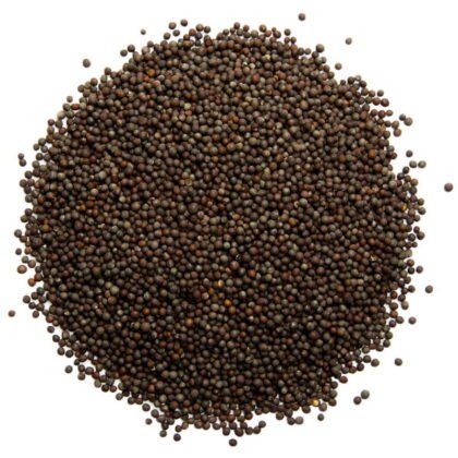 Mustard Oil - Pure mustard seeds oil wholesalers