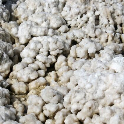 cottonseed oil 100% natural for sale in bulk only