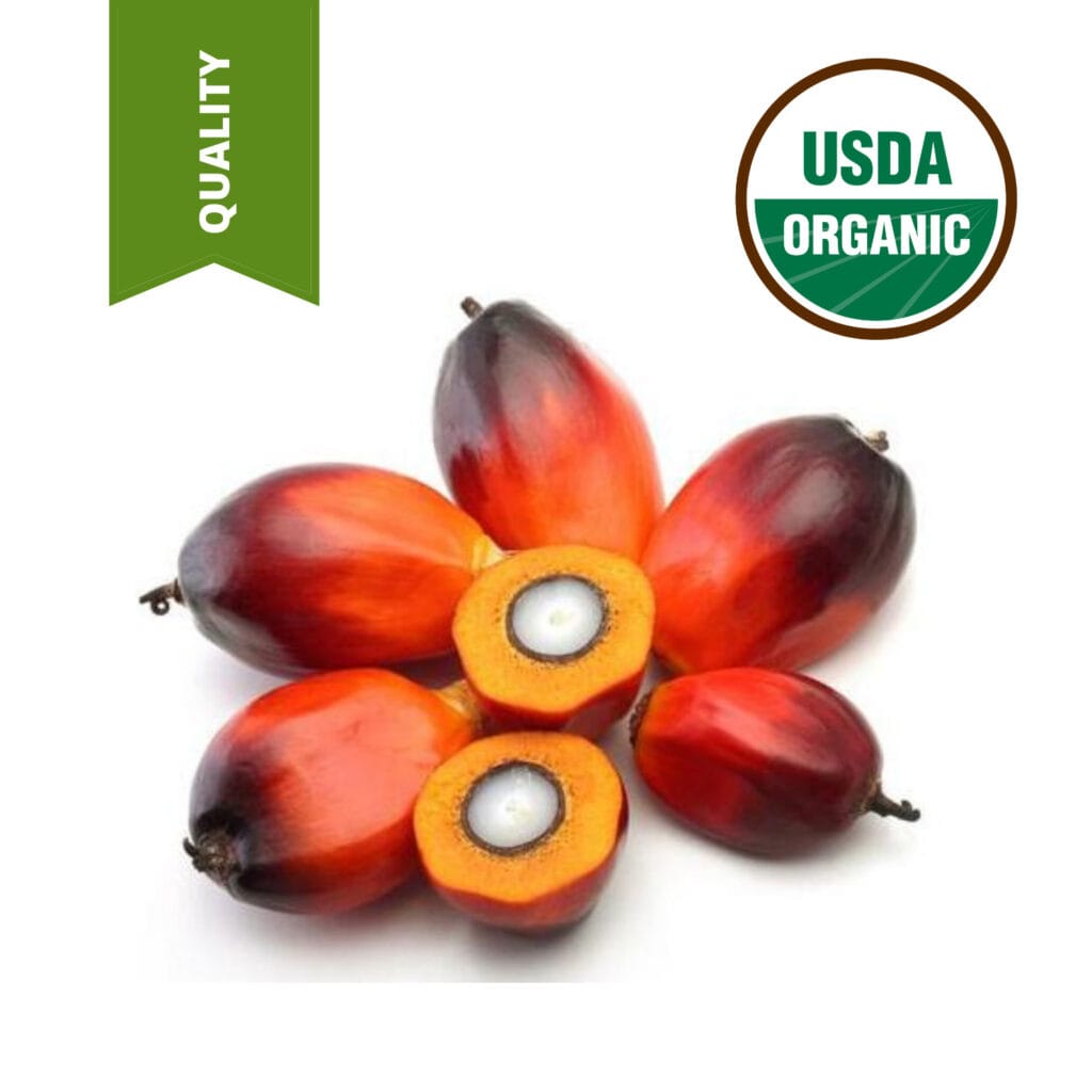 Palm Fatty Acid Distillate for sale at horus oil