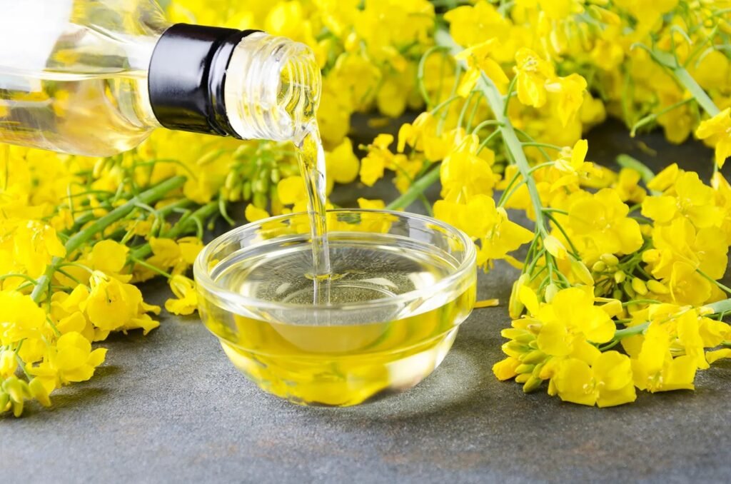 canola cooking oil 