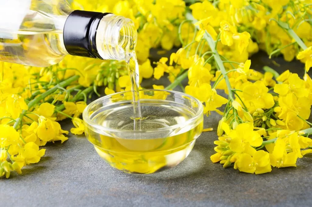 canola cooking oil 