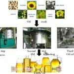The Evolution of the Cooking Oil Industry Tracing History and Trends