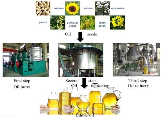 The evolution of the cooking oil industry tracing history and trends