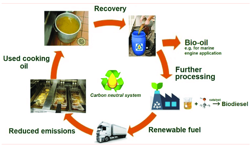 Repurposes Used oil into biodiesel, illustrating its transformation into a renewable energy source
