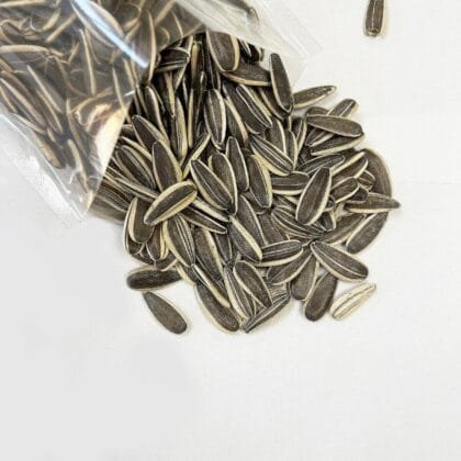 Premium Raw Sunflower Seeds in Shell (Bulk & Wholesale)