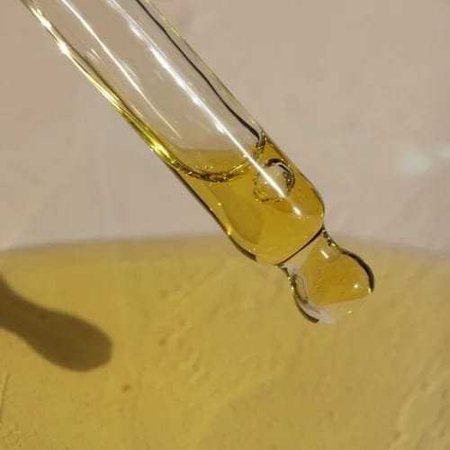 Industrial Vegetable Oil Distributor for Paint, Coatings & Manufacturing